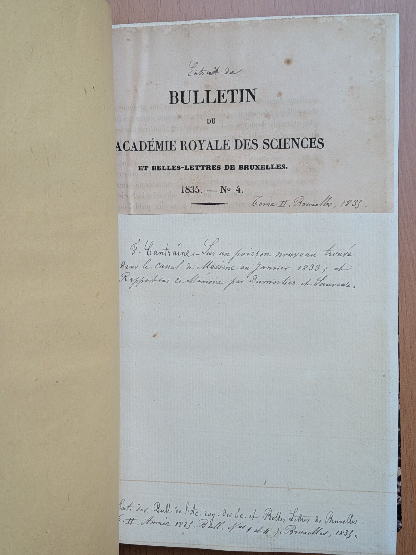 Zoologie - Mélanges - 32 tirés à part de diverses sociétés et académies - Planches - XIXe