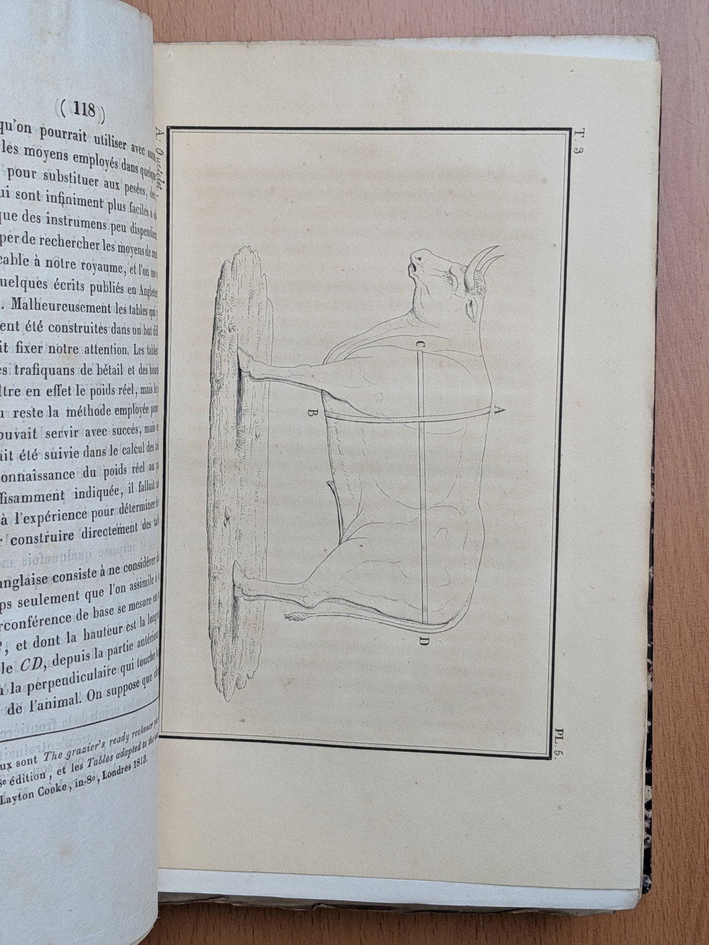 Zoologie - Mélanges - 32 tirés à part de diverses sociétés et académies - Planches - XIXe
