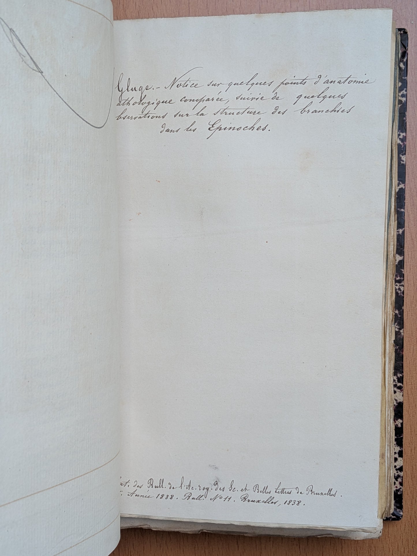Zoologie - Mélanges - 32 tirés à part de diverses sociétés et académies - Planches - XIXe