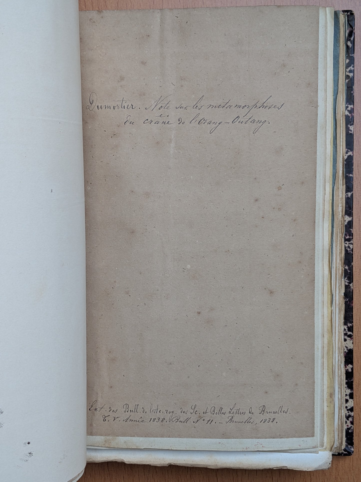 Zoologie - Mélanges - 32 tirés à part de diverses sociétés et académies - Planches - XIXe
