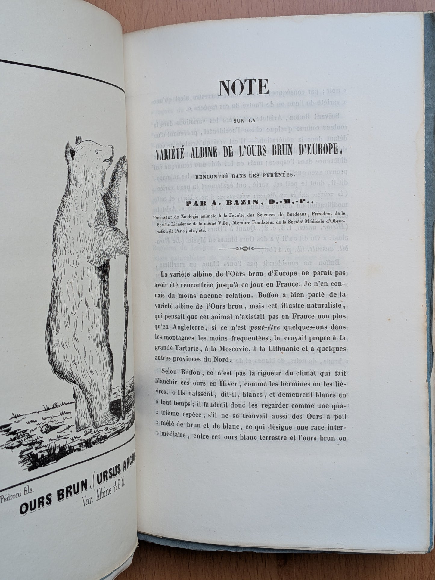 Zoologie - Mélanges - 32 tirés à part de diverses sociétés et académies - Planches - XIXe