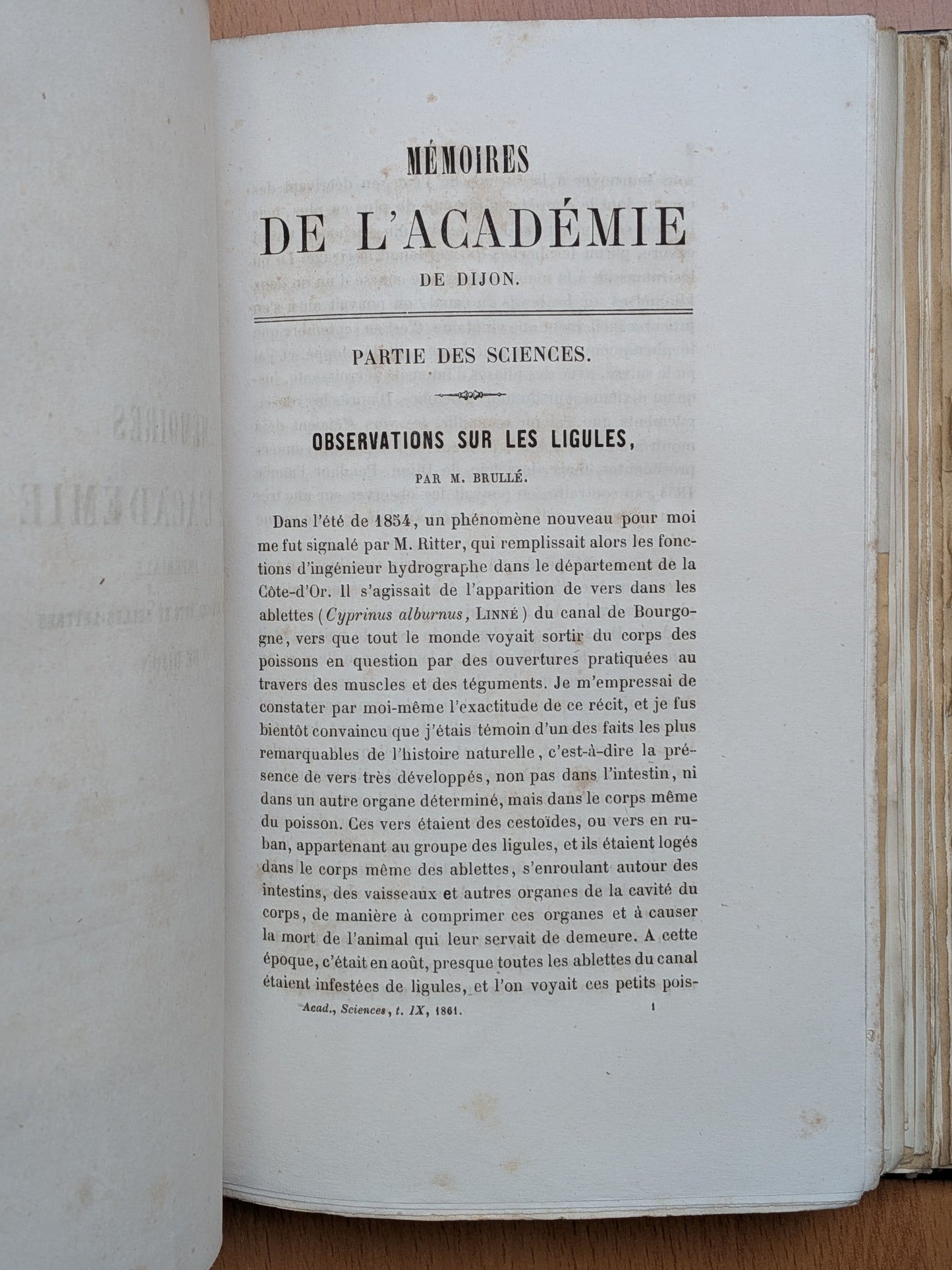 Zoologie - Mélanges - 32 tirés à part de diverses sociétés et académies - Planches - XIXe