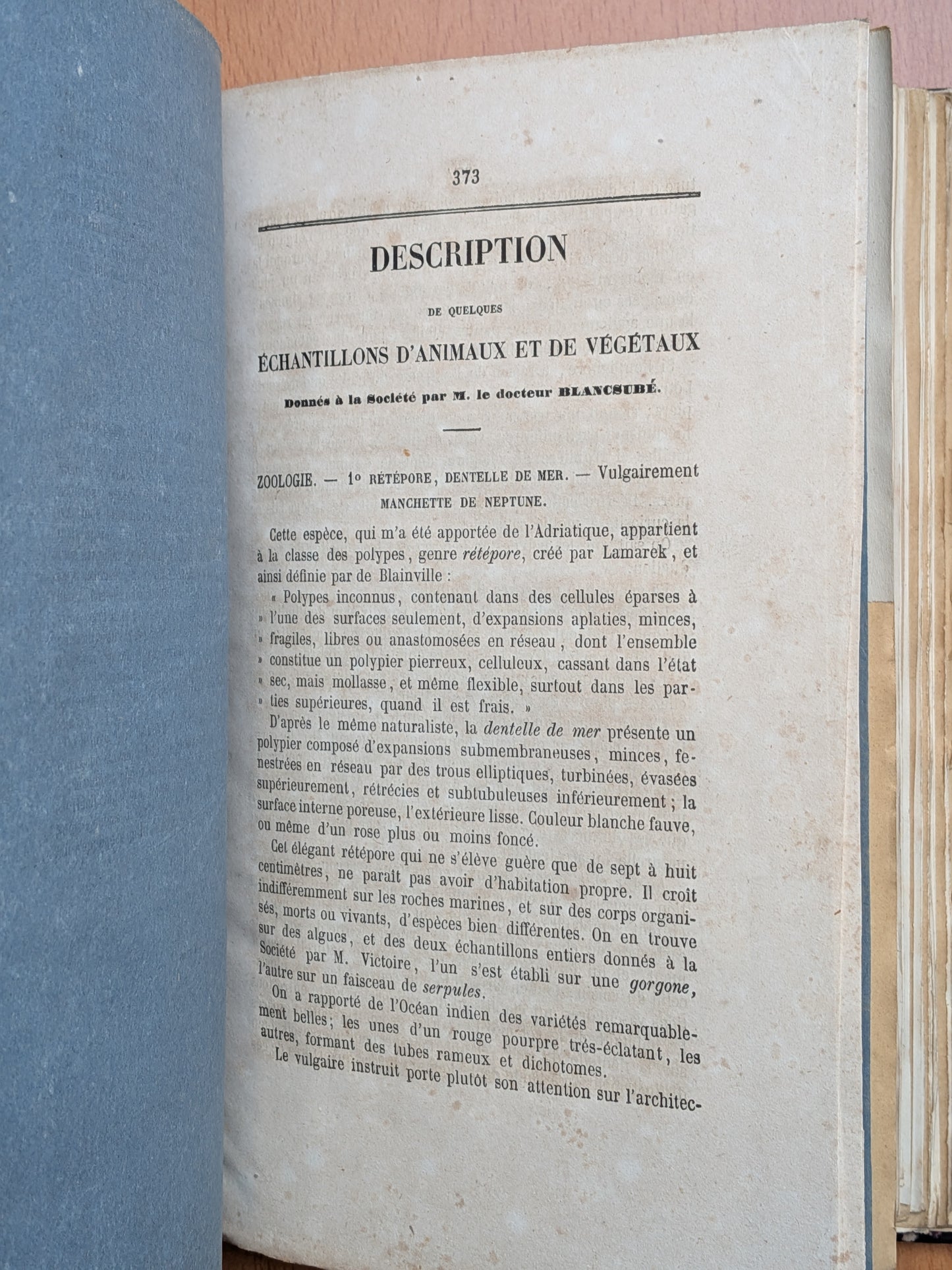 Zoologie - Mélanges - 32 tirés à part de diverses sociétés et académies - Planches - XIXe