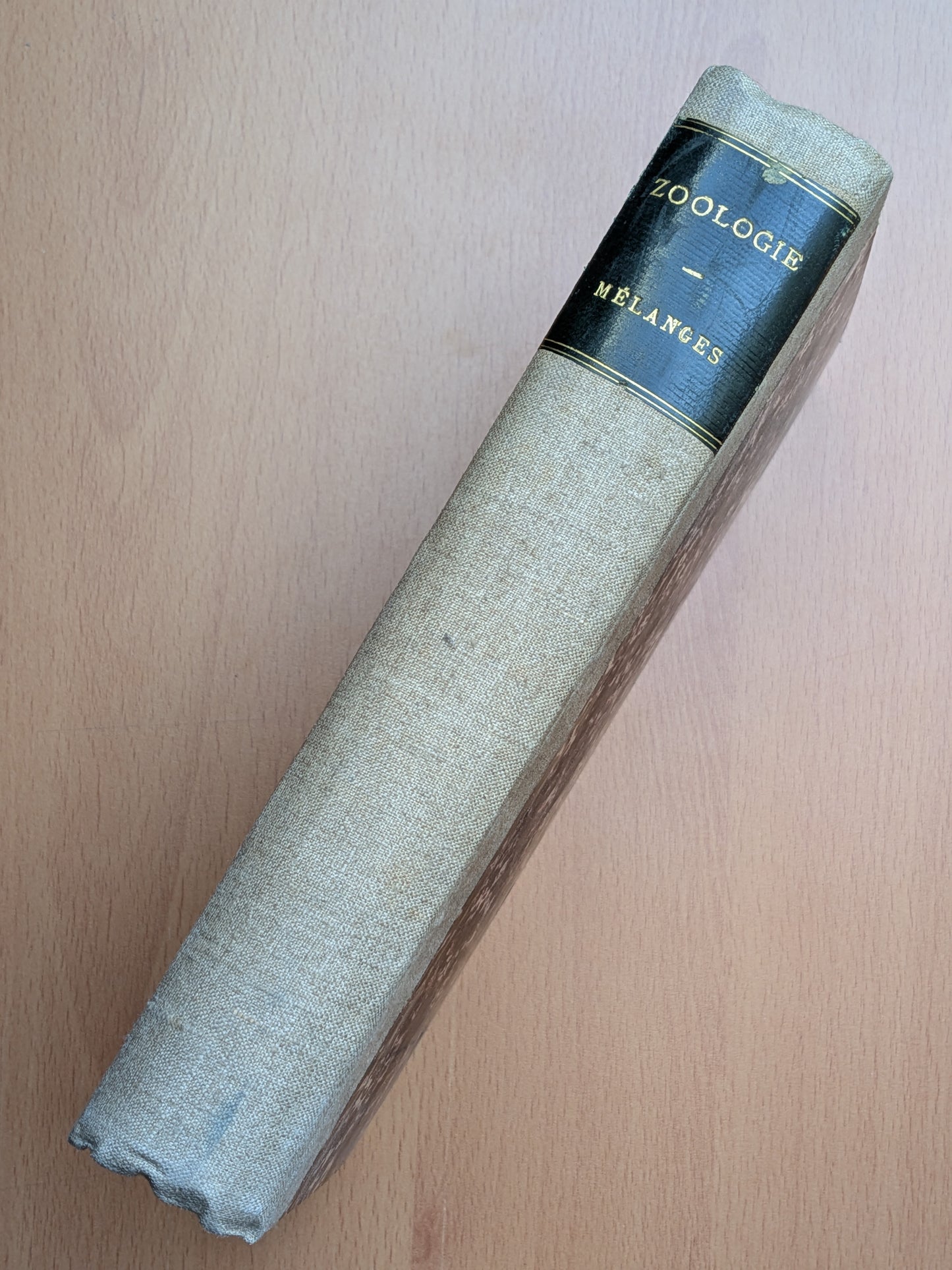 Zoologie - Mélanges - 17 Extraits des bulletins de l'Académie royales Belgique - XIXe - Planches