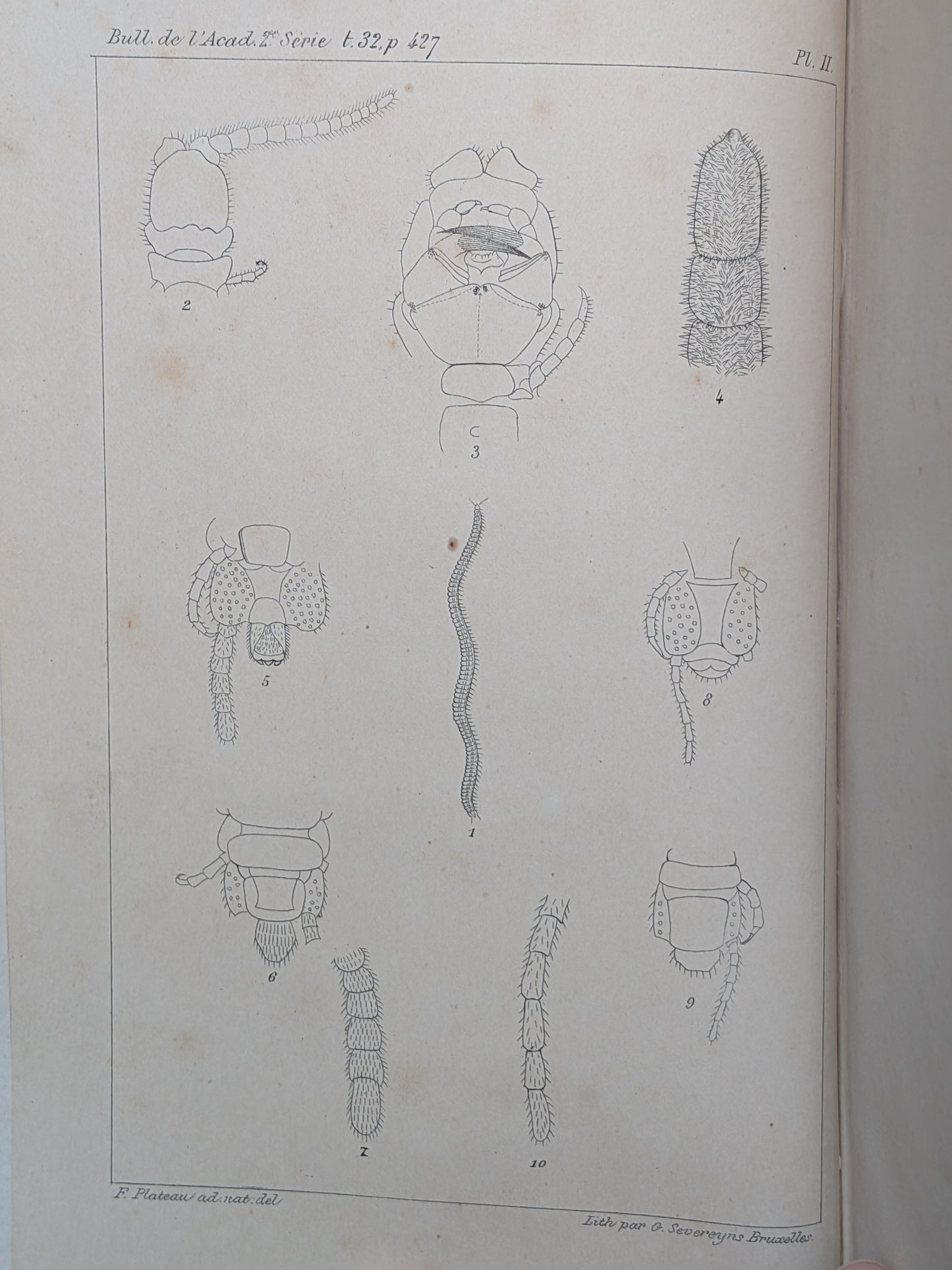 Mélanges de Zoologie - Félix Plateau - Tirés à part des bulletins de l'Académie royales des sciences, des lettres et des Beaux-arts de Belgique - 1870-1880