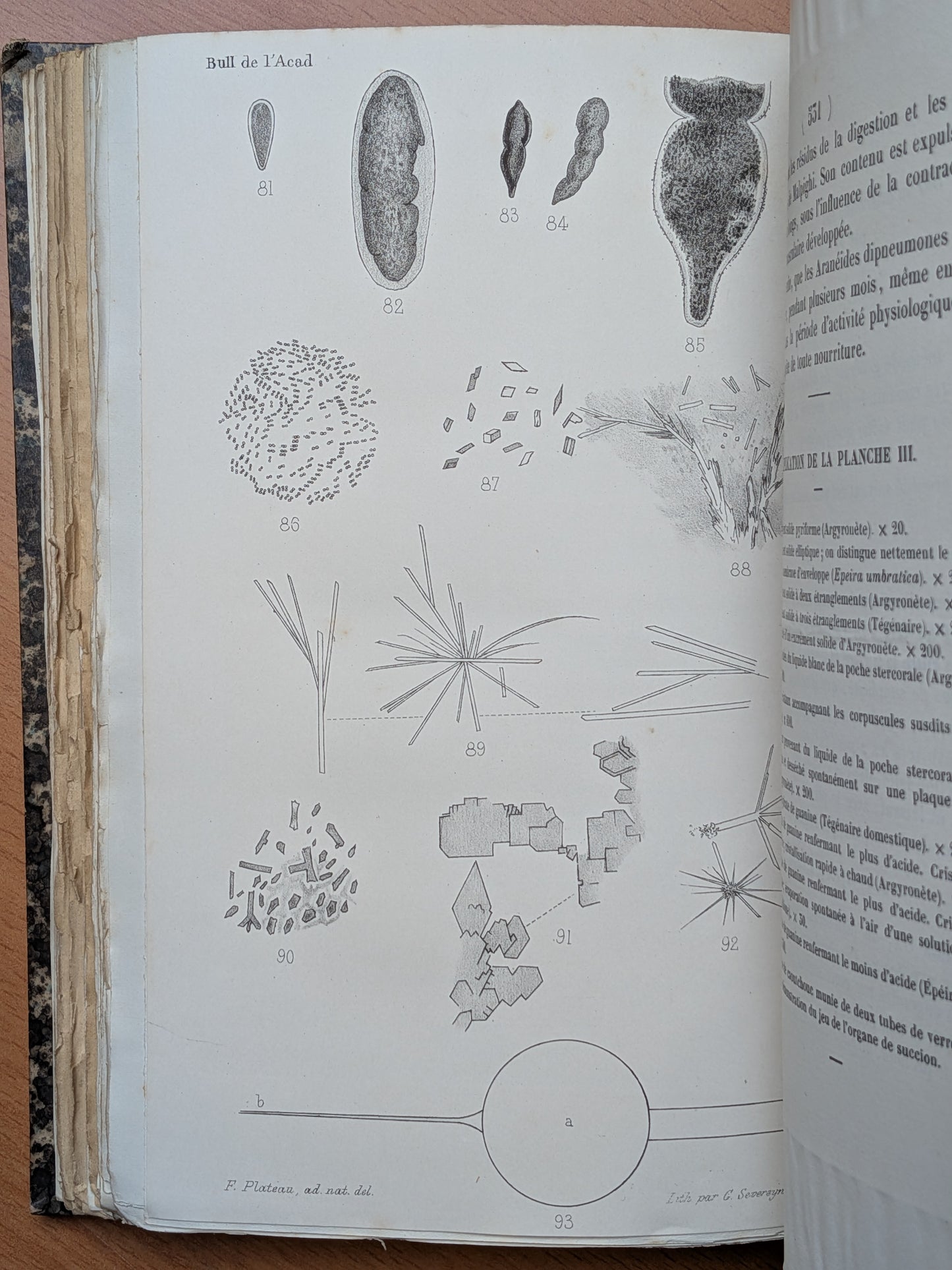 Mélanges de Zoologie - Félix Plateau - Tirés à part des bulletins de l'Académie royales des sciences, des lettres et des Beaux-arts de Belgique - 1870-1880