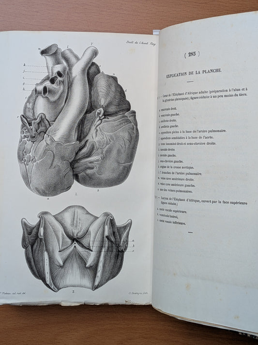 Mélanges de Zoologie - Félix Plateau - Tirés à part des bulletins de l'Académie royales des sciences, des lettres et des Beaux-arts de Belgique - 1870-1880